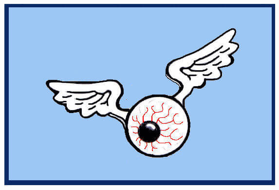 (image for) EYEBALL WITH WINGS